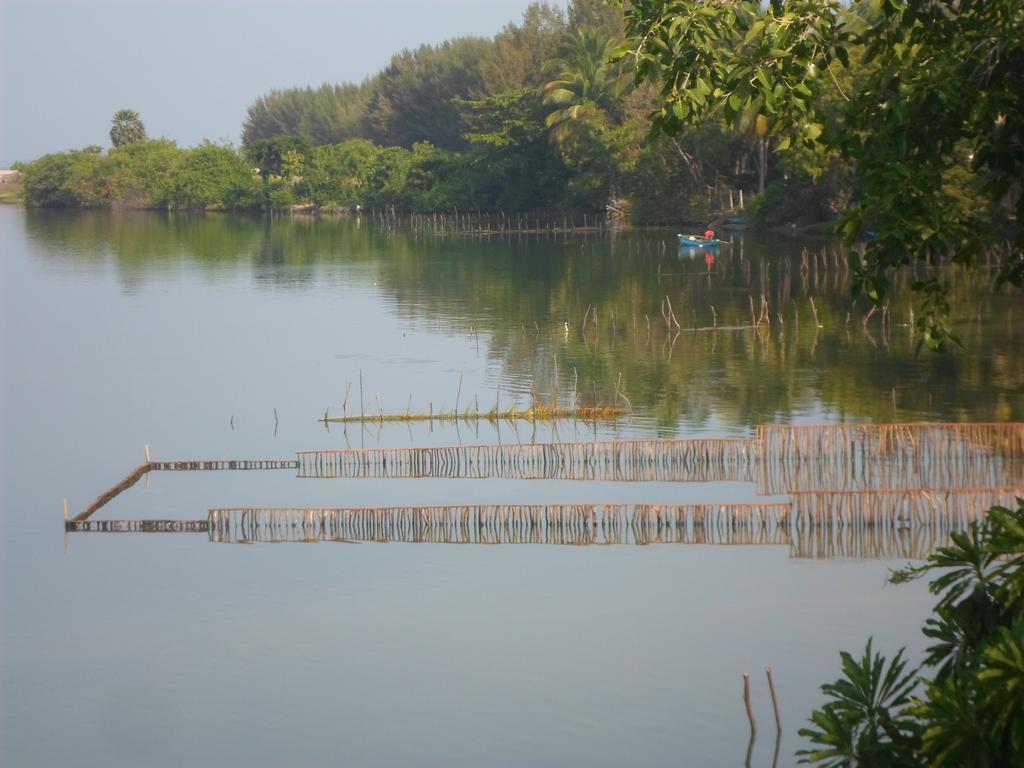 Lord Of The Forest Hotel Batticaloa Bilik gambar